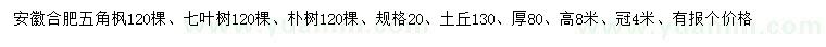 求购五角枫、七叶树、朴树