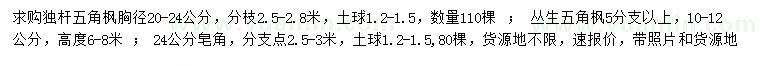 求购独杆五角枫、丛生五角枫、皂角