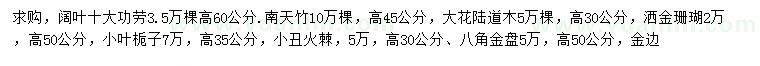 求购阔叶十大功劳、南天竹、大花陆道木等