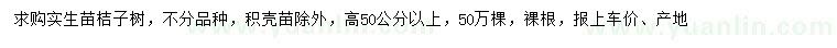 求购高50公分以上桔子树