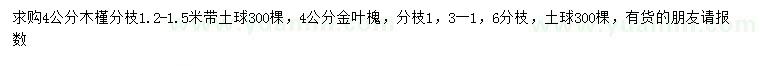 求购4公分木槿、金叶槐