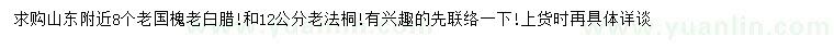 求购老国槐、老白腊、老法桐