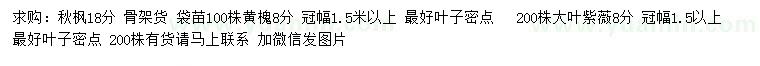 求购秋枫、黄槐、大叶紫薇