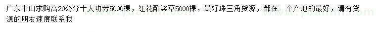 求购高20公分十大功劳、红花酢桨草