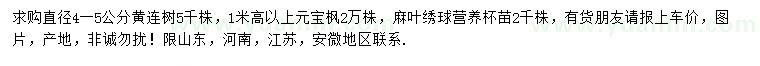 求购黄连树、元宝枫、麻叶绣球