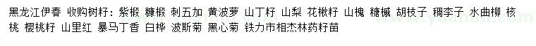 求购紫椴、糠椴、刺五加等