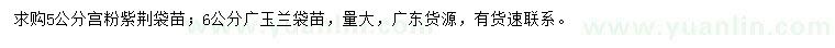 求购5公分宫粉紫荆、6公分广玉兰