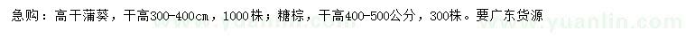 求购杆高300-400公分高杆蒲葵、400-500公分糖棕