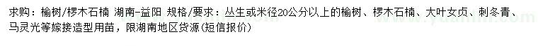 求购榆树、椤木石楠、大叶女贞等