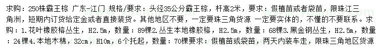 求购霸王棕、花叶橡胶榕、黑金钢等