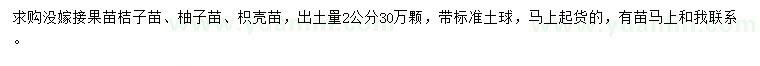 求购桔子苗、柚子苗、枳壳苗