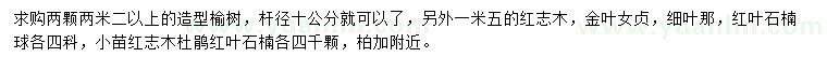 求购造型榆树、红志木、金叶女贞等