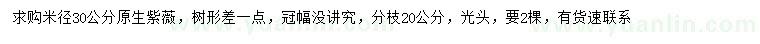 求购米径30公分原生紫薇