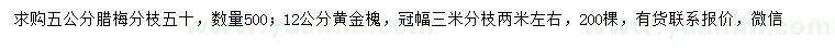 求购5公分腊梅、12公分黄金槐