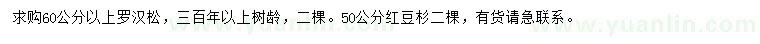 求购60公分以上罗汉松、50公分红豆杉