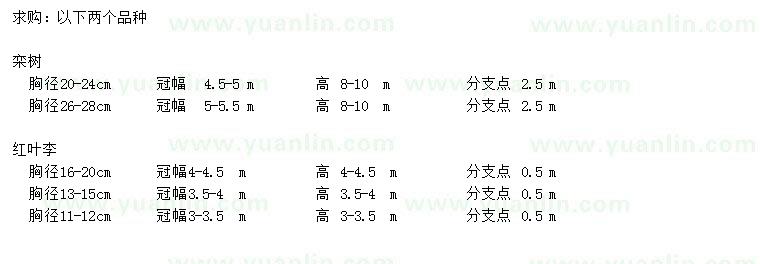 求购高8-10米栾树、冠幅3-4.5公分红叶李