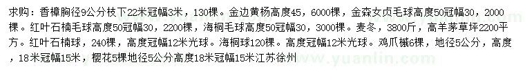 求购香樟、金边黄杨、金森女贞毛球等