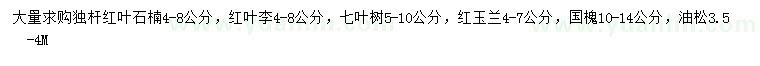 求购独杆红叶石楠、红叶李、七叶树等