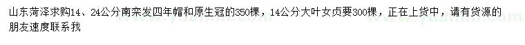 求购14、24公分南栾、14公分大叶女贞