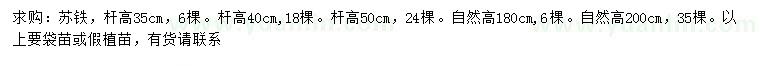 求购高35、40、50、180、200公分苏铁