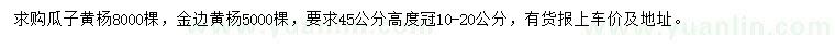 求购高45公分瓜子黄杨、金边黄杨