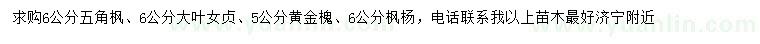 求购五角枫、大叶女贞、黄金槐等