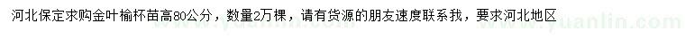 求购高80公分金叶榆苗