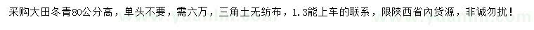 求购高80公分大田冬青