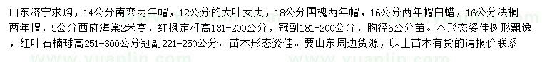 求购南栾、大叶女贞、国槐等