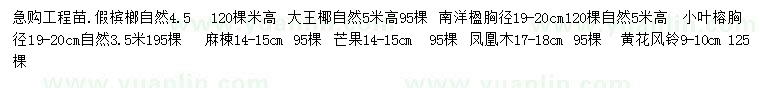 求购假槟榔、大王椰、南洋楹等