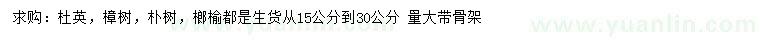 求购杜英、樟树、朴树等