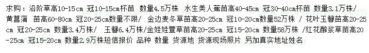 求购沿阶草、水生美人蕉、黄菖蒲等