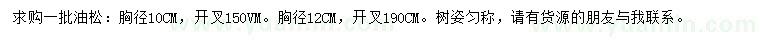 求购胸径10、12公分油松