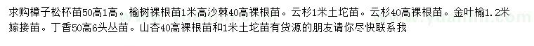 求购樟子松、榆树、沙棘等