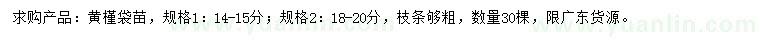 求购14-15、18-20公分黄槿