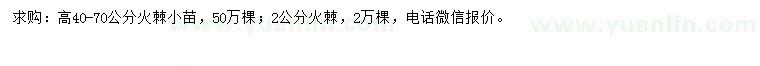 求购高40-70公分火棘小苗、2公分火棘