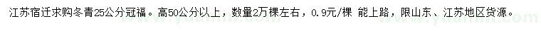 求购高50公分以上冬青