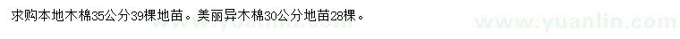 求购35公分本地木棉、30公分美丽异木棉