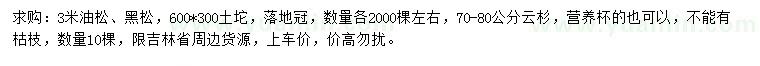 求购油松、黑松、云杉