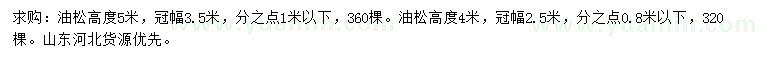 求购高4、5米油松