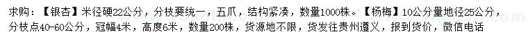 求购米径22公分银杏、地径25公分杨梅树