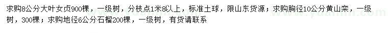 求购大叶女贞、黄山栾、石榴树