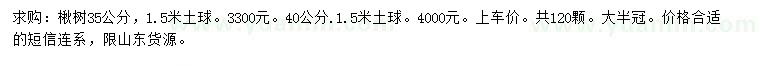 求购35、40公分楸树