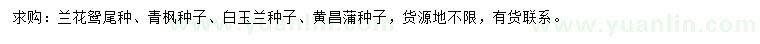 求购兰花鸳尾种、青枫种子、白玉兰种子等