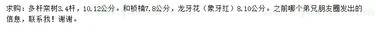 求购多杆栾树、桢楠、龙牙花