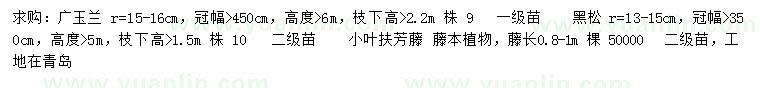 求购广玉兰、黑松、小叶扶芳藤