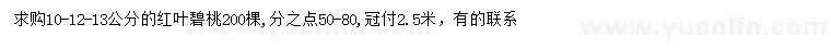 求购10、12、13公分红叶碧桃