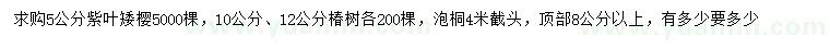 求购紫叶矮樱、椿树、泡桐