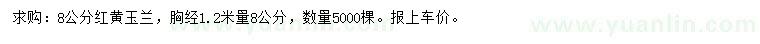 求购1.2米量8公分红、黄玉兰