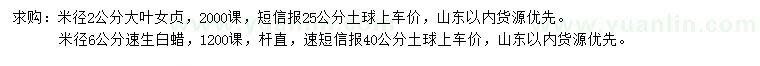 求购米径2公分大叶女贞、6公分速生白蜡